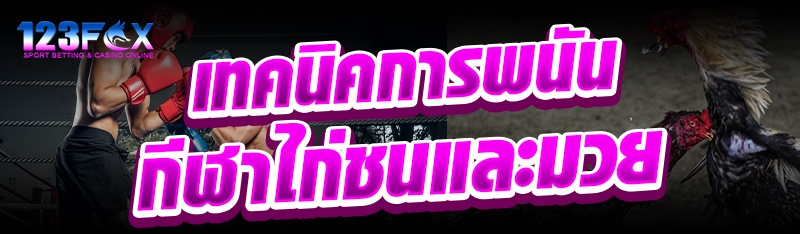 เทคนิคการพนันกีฬาไก่ชนและมวย