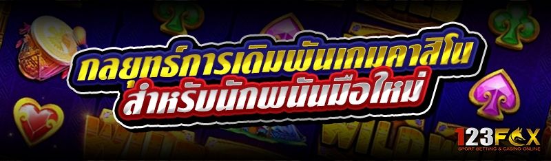 กลยุทธ์การเดิมพันเกมคาสิโน สำหรับนักพนันมือใหม่