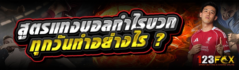 สูตรแทงบอลกำไรบวก ทุกวันทำอย่างไร ?