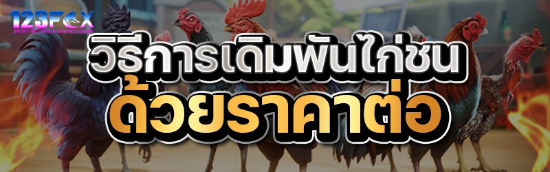 วิธีการเดิมพันไก่ชน ด้วยราคาต่อ