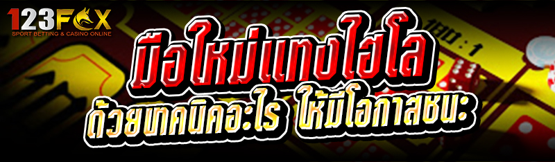 มือใหม่แทงไฮโล ด้วยเทคนิคอะไร ให้มีโอกาสชนะ